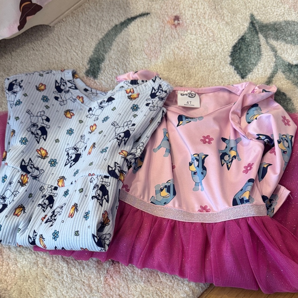 Bluey dresses